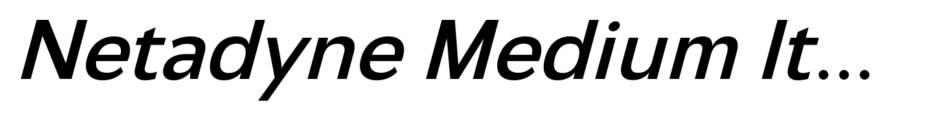 Netadyne Medium Italic